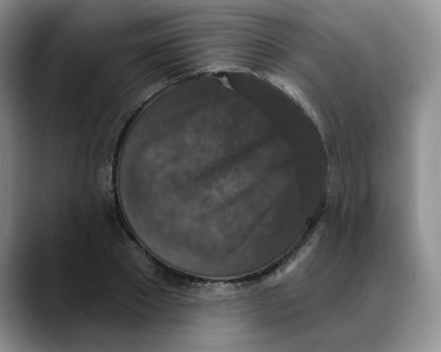 X0000088430881200706121448