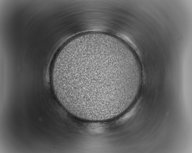 X0000088430883200706121448