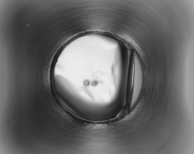 X0000088430884200706121448