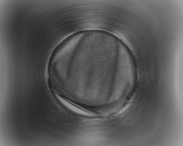 X0000088430885200706121448