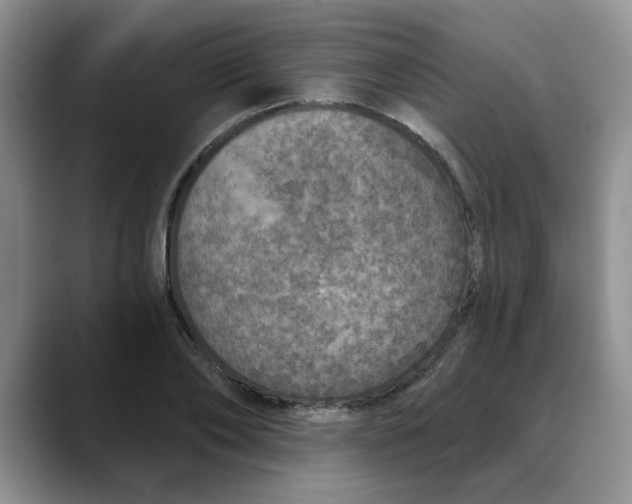 X0000088430886200706121448