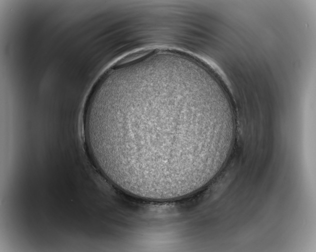 X0000088430887200706121448