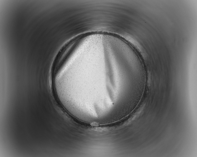 X0000088430888200706121448