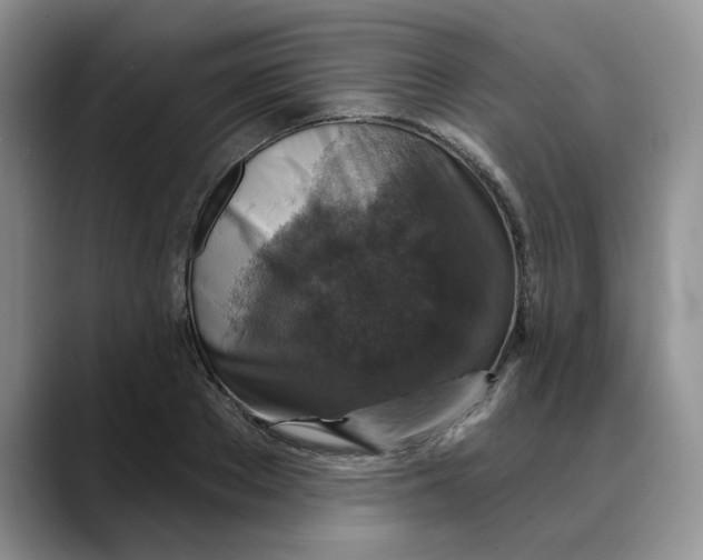 X0000088430889200706121448