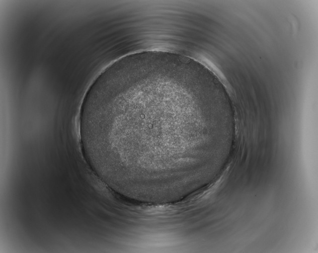 X0000088430891200706121448