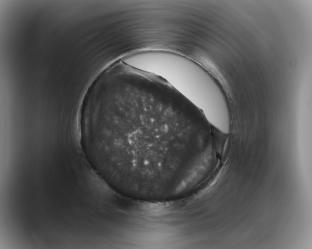 X0000088430892200706121448