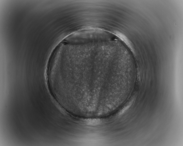 X0000088430893200706121448