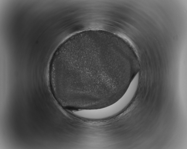 X0000088430894200706121448