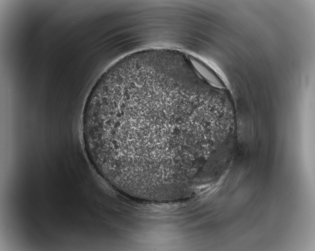 X0000088430895200706121448