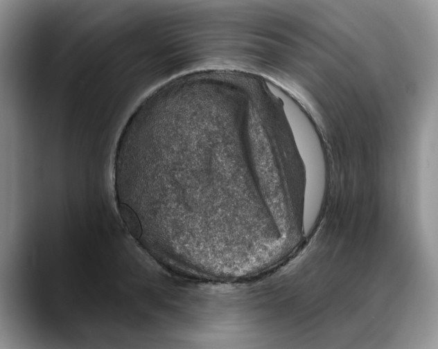 X0000088430896200706121448