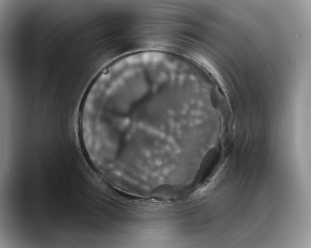 X0000088430899200706121448