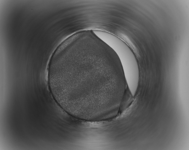 X0000088430900200706121448