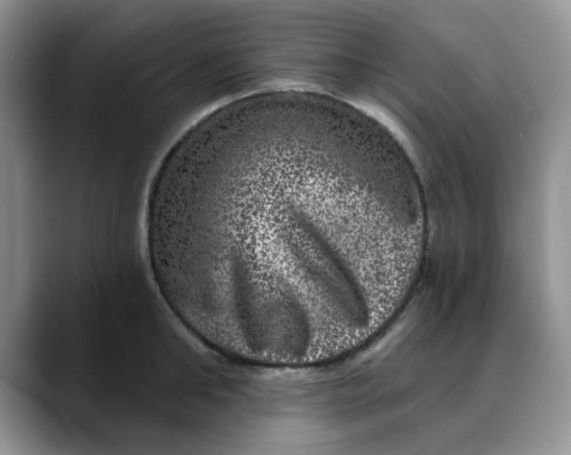 X0000088430902200706121448