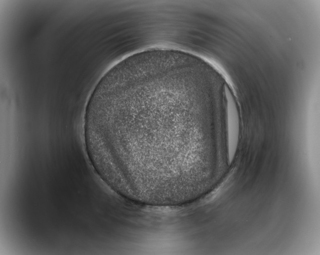 X0000088430903200706121448