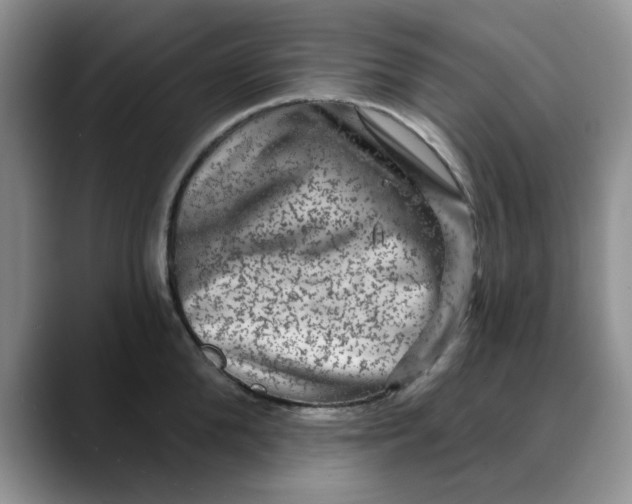 X0000088430904200706121448