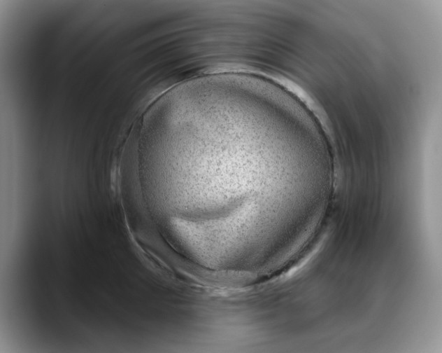 X0000088430905200706121448