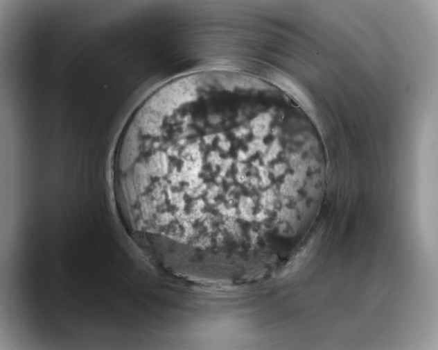 X0000088430907200706121448