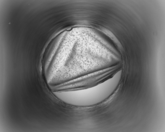 X0000088430908200706121448