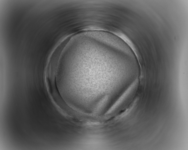 X0000088430909200706121448