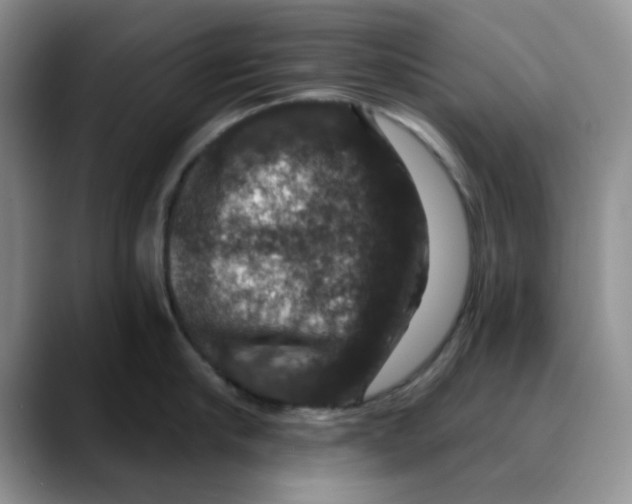 X0000088430910200706121448