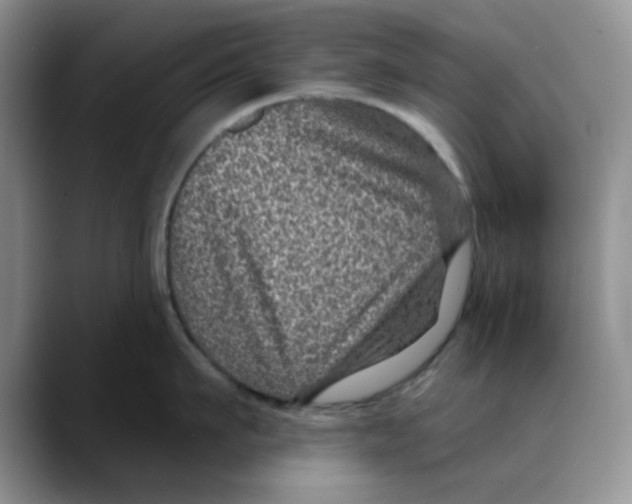 X0000088430911200706121448