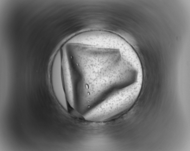 X0000088430912200706121448