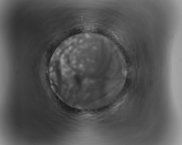 X0000088430913200706121448