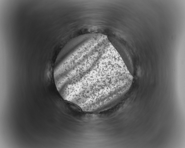 X0000088430914200706121448