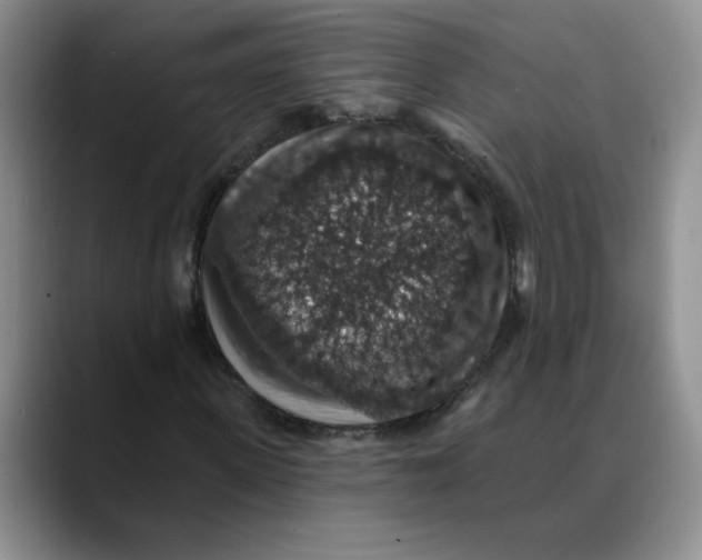 X0000088430915200706121448