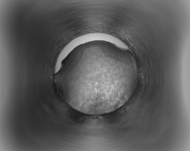 X0000088430916200706121448