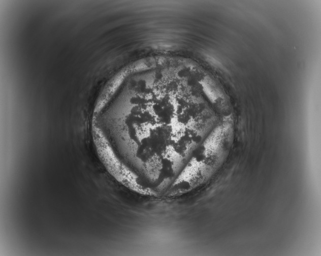 X0000088430917200706121448