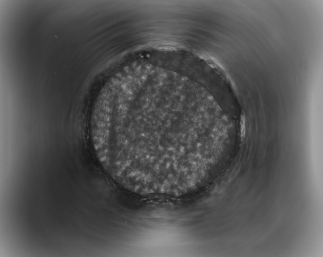 X0000088430919200706121448