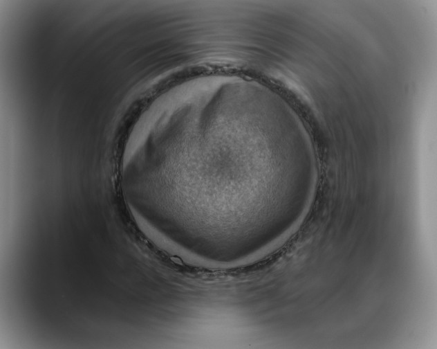 X0000088430920200706121448