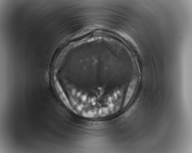 X0000088430921200706121448