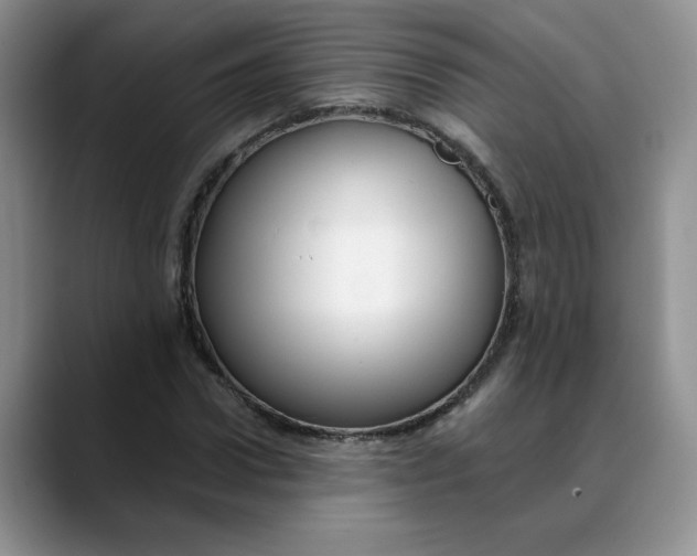 X0000088430922200706121448