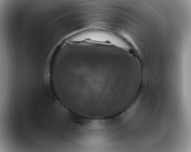 X0000088430923200706121448