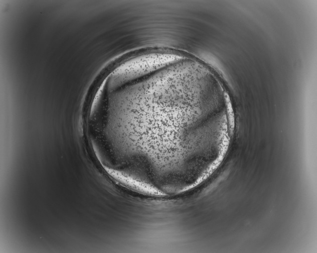 X0000088430924200706121448