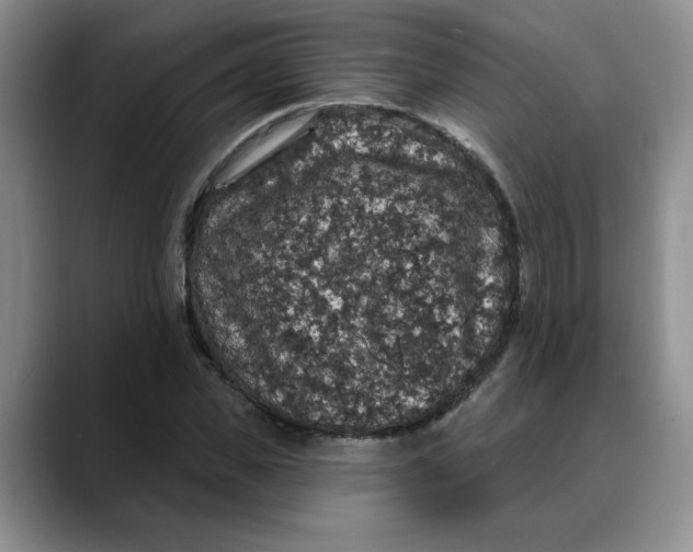 X0000088430925200706121448