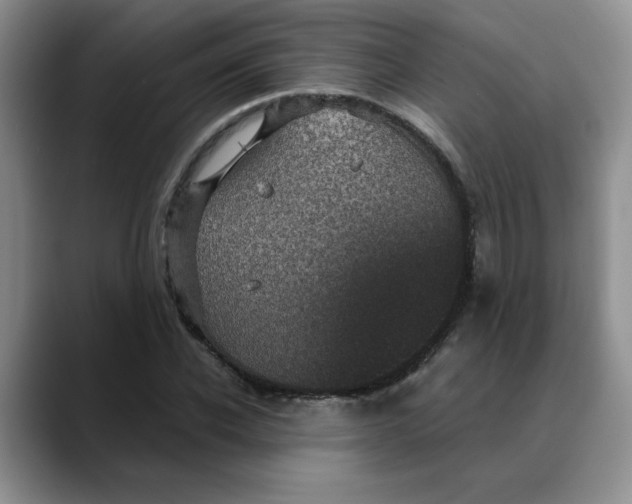 X0000088430926200706121448