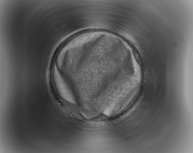 X0000088430928200706121448