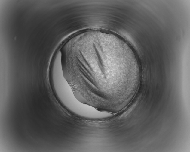 X0000088430932200706121448