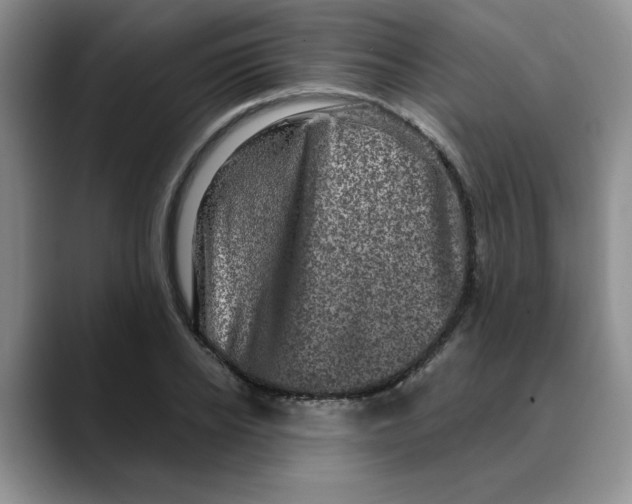 X0000088430934200706121448