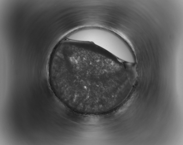 X0000088430935200706121448