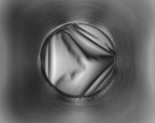 X0000088430936200706121448