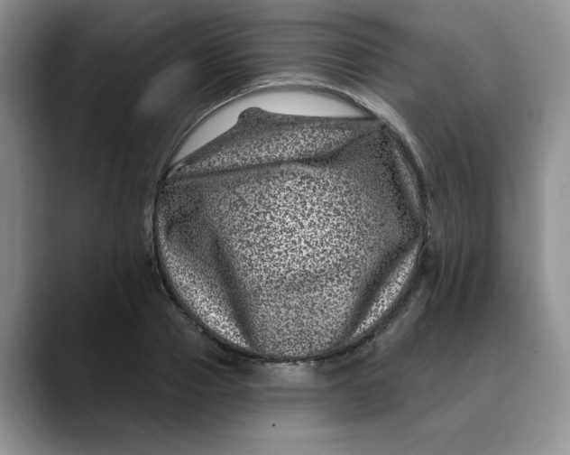 X0000088430937200706121448