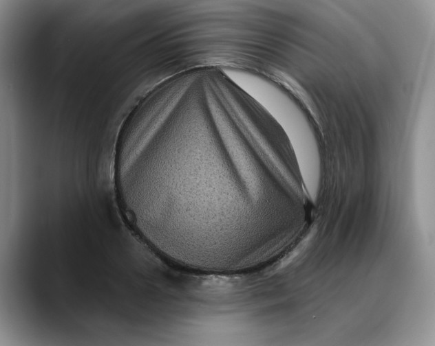 X0000088430938200706121448