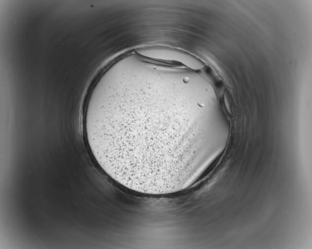 X0000088430940200706121448