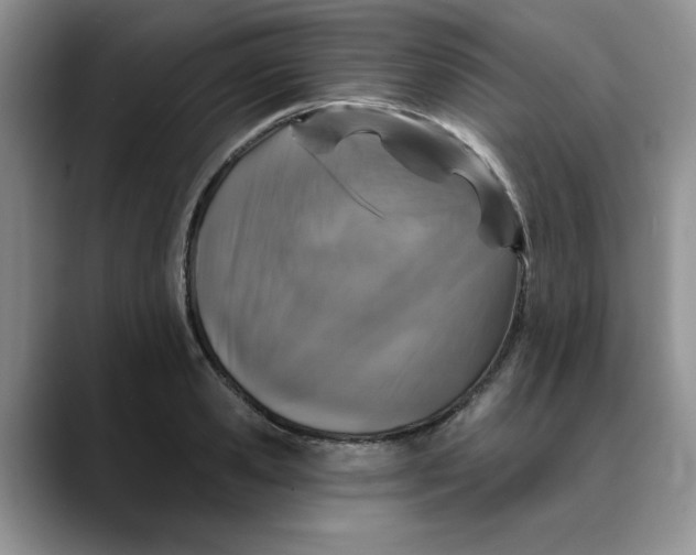 X0000088430941200706121448