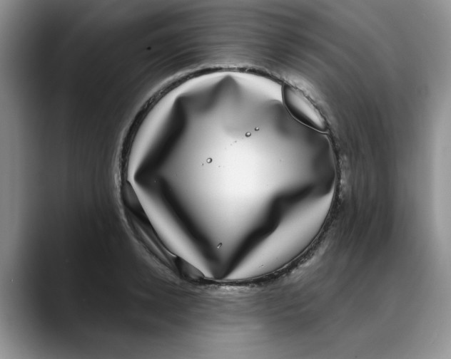 X0000088430942200706121448