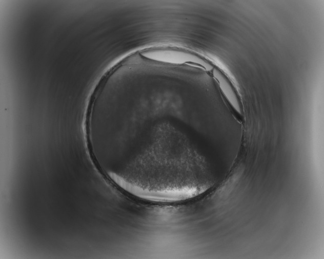 X0000088430943200706121448